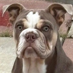 soundcloudaud.com_back at it.mp3