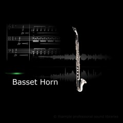 Xsample Basset Horn