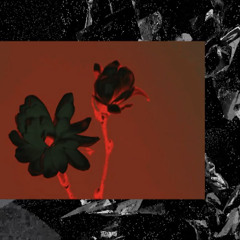 Live @ IKLETIC London