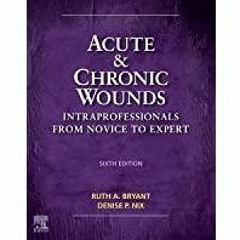 <Read> Acute and Chronic Wounds: Intraprofessionals from Novice to Expert (Acute and Chronic Wounds