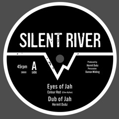 Colour Red-Eyes of Jah // Amelia Harmony-Can't see the wood for the trees [Silent River SR001]