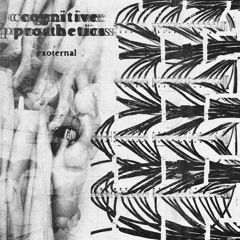 Cognitive Prosthetics