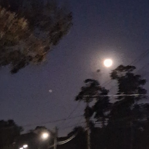 Losses ft sixxkay (prod.1cey)