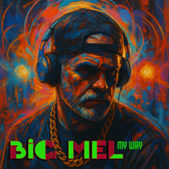 The Twelve (12) Days Of Christmas Chaos