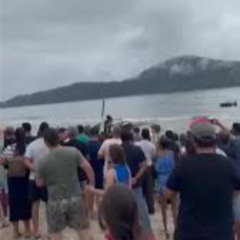 Full Portal zacarias ilha do governador acidente ilha do governador tiroteio na ilha do governador