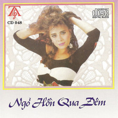 Sao Không Thấy Anh Về