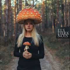Flow in you - ELS DARK NOIS
