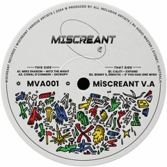 PREMIERE: Mike Sharon - Into The Night