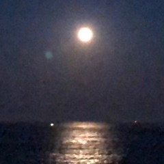 Experiment IVe Ode To Pluto