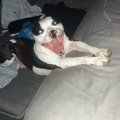 RIRI-December Sentencing.mp3