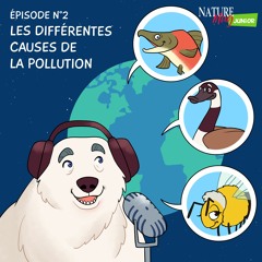 #2 — Les différentes causes de la pollution