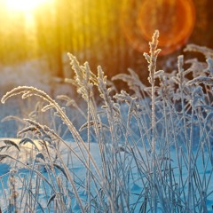 118 p23 Take a mindful moment