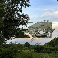 Her Live Oak Reverie