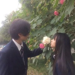 Japan Love!