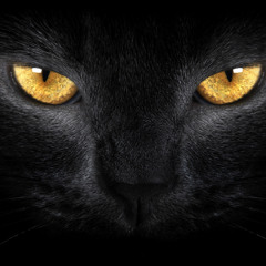 Just mixed together Mix 2025