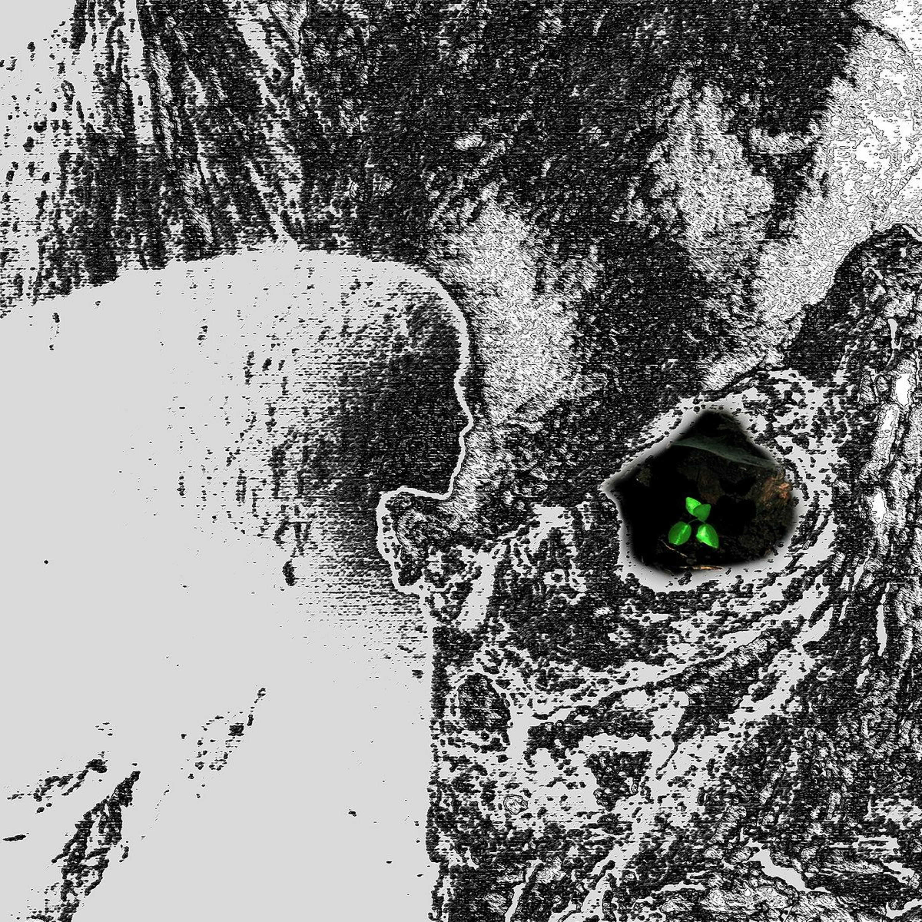 The sound ofClikno - Dr.Nojoke