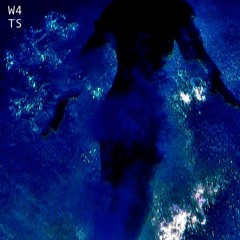 slowtreader/2stepper