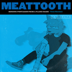 MEATTOOTH - Sending Postcards From a Plane Crash (Fall Out Boy Cover)