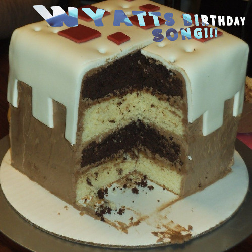 the birthday (14106lyn)