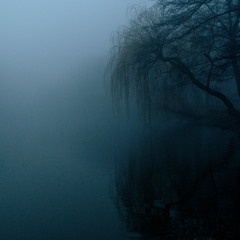 Fog (2025)