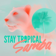 Samba Festival - StayTropical