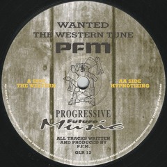 PFM -  The Western (Original 12  Mix)