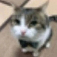 :3