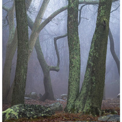 It Does't Matter Anymore