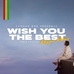 Wish You The Best Reggae Remix (Canaan Ene)