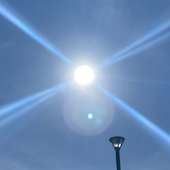 HoMie  ft.yummy.C9red