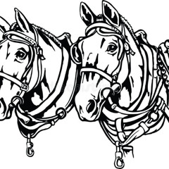 TWO HORSES