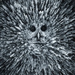 InsOmnia Two ( Darkpsy 2024 )