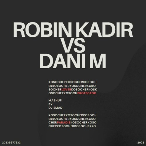 Robin Kadir VS Dani M - Paradis & Lover & Protector [Mashup]