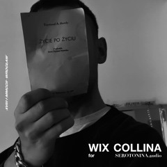 field records of my demons WIX COLLINA dj set /// SEROTONINA.