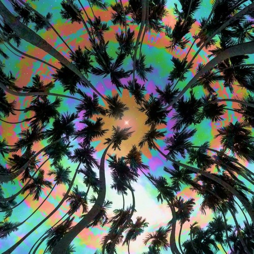 interconnections