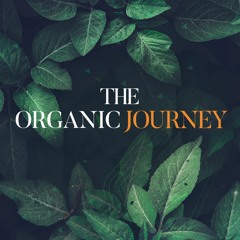 Deepest Thoughts - The Organic Journey (Mixtape)