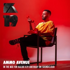 Ammo Avenue - In The Mix