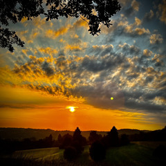 FortheSun