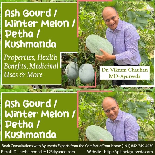 Stream Ash Gourd Winter Melon Health Benefits And Medicinal Uses By
