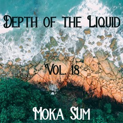 Depth Of The Liquid Vol. 18