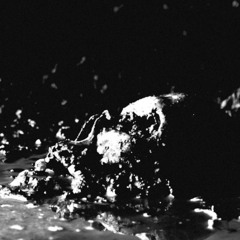 BONE FETISH - Cuts