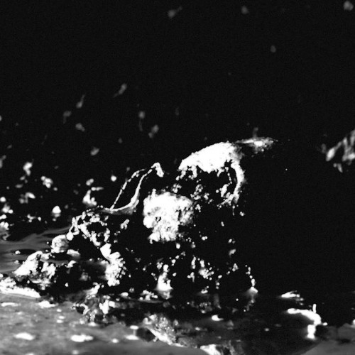 BONE FETISH - Cuts