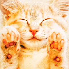 -beat guaranteed to make your life better-