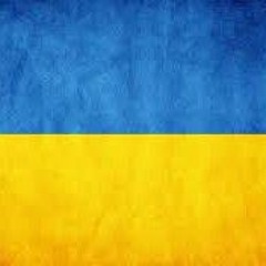National Anthem of Ukraine (feat. Rena) 【Intense Symphonic Metal Cover