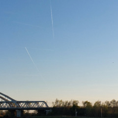 Jamuary 23rd 2026 Crossing Paths