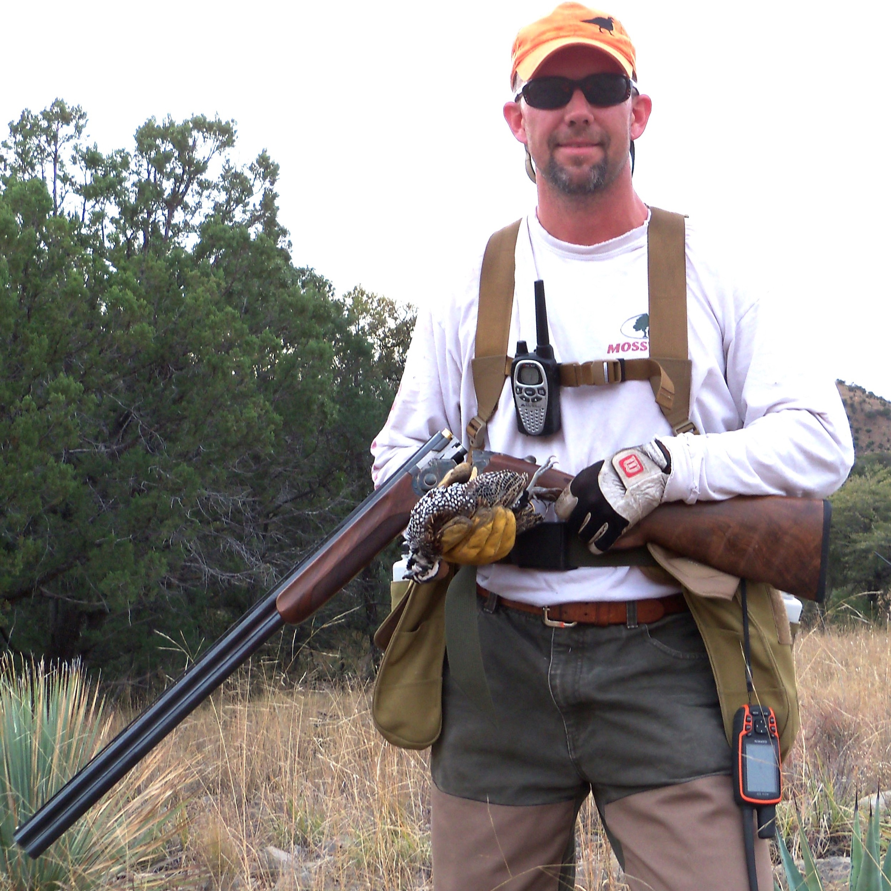 Dr. Dale on Quail