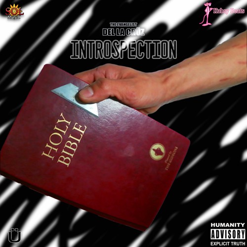 Introspection (Rec. Mix. Mast. By Cruz @SOLStudiosTuc Prod. Kubsy Beats)