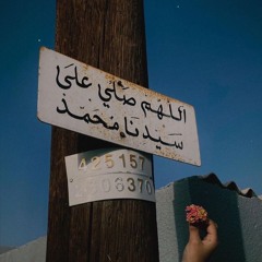 صلّى عليكَ اللهُ ما اتّسَع المدى واشتاقت الأرواحُ للرّحمـنِ | ابو الزبير |