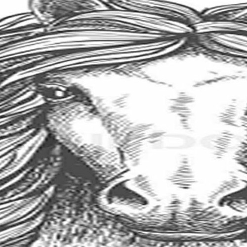 So hungry I could eat a STALLION!!!!!!!