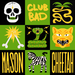 Mason, Teya Flow - Cheetah